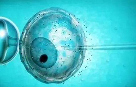 日本三代试管婴儿要多少钱？