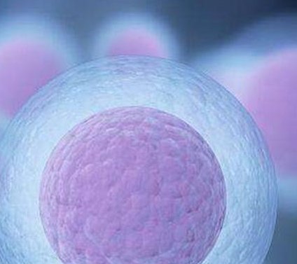 2026年温州助孕机构推荐：温州地区优质助孕公司大盘点