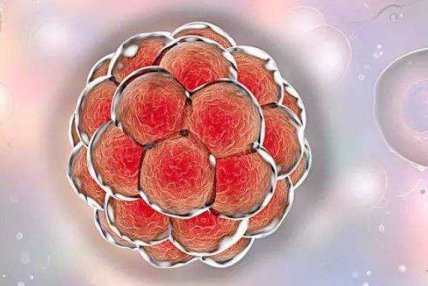 2026年没有卵泡去萍乡做试管三代的成功率有多高？可以达到百分之50%